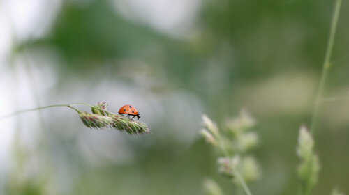 Yonne et Nature