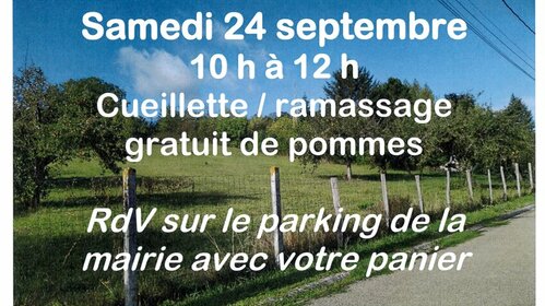 Cueillette de pommes