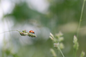 Yonne et Nature